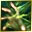 Skill Icon